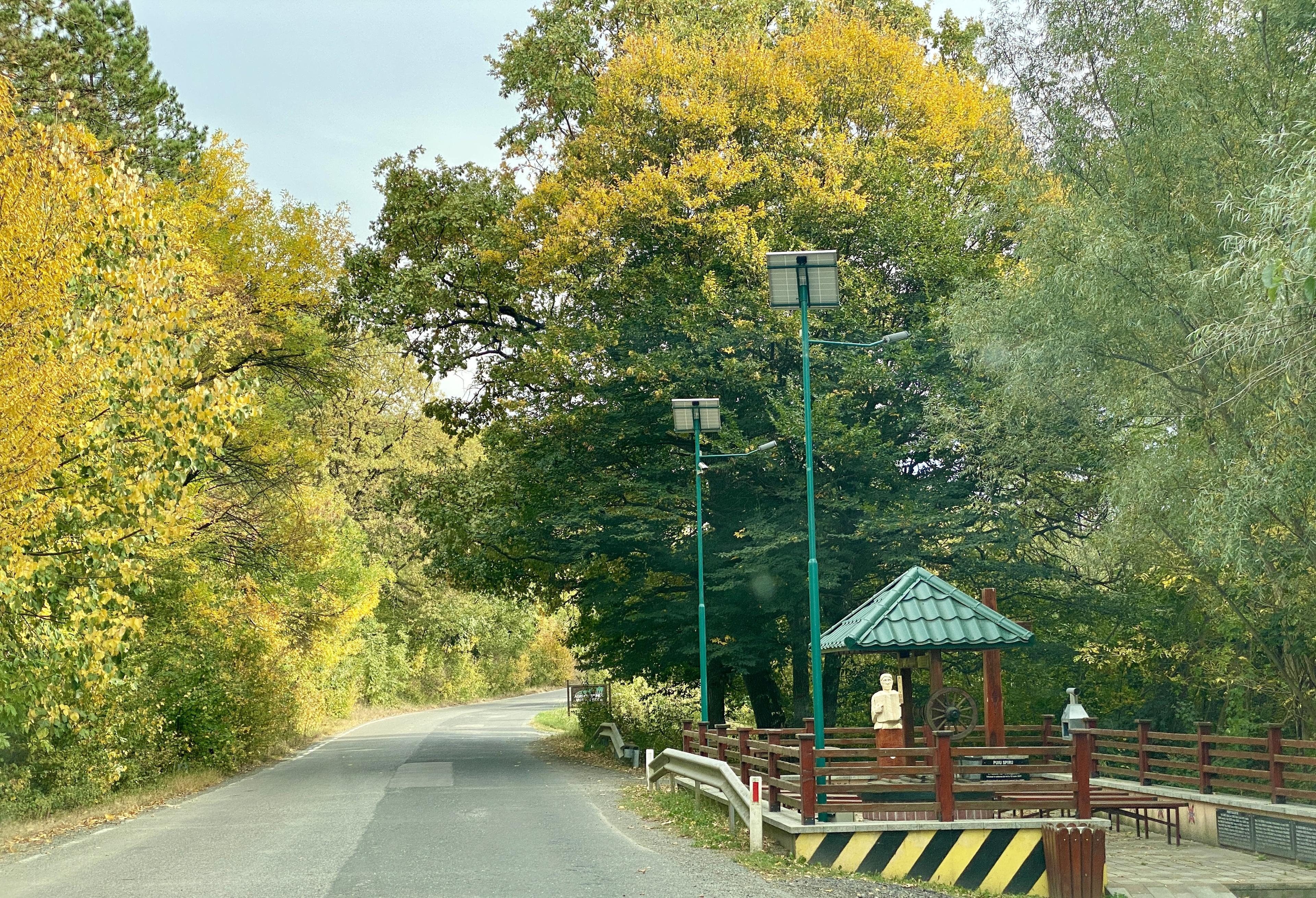 Pensiunea Valea Fagilor 8